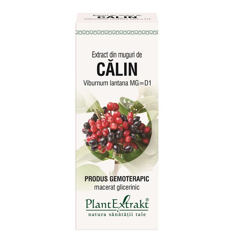 Extract din muguri de Calin 50 ml Plant Extrakt