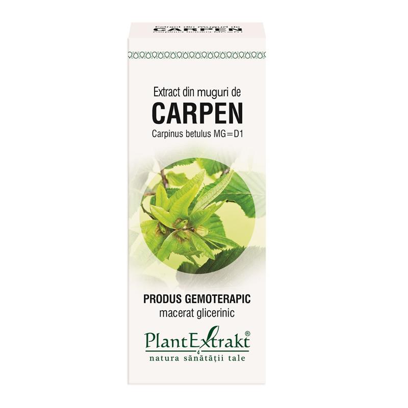Extract din muguri de Carpen 50 ml Plant Extrakt