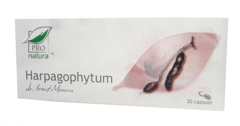 Harpagophytum (Gheara diavolului) 30 capsule Pro Natura