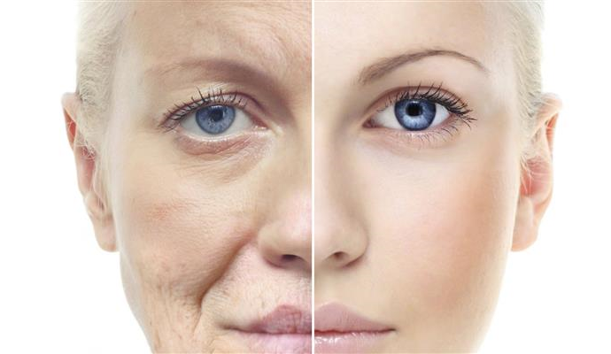 Cum poate fi incetinit procesul imbatranirii?